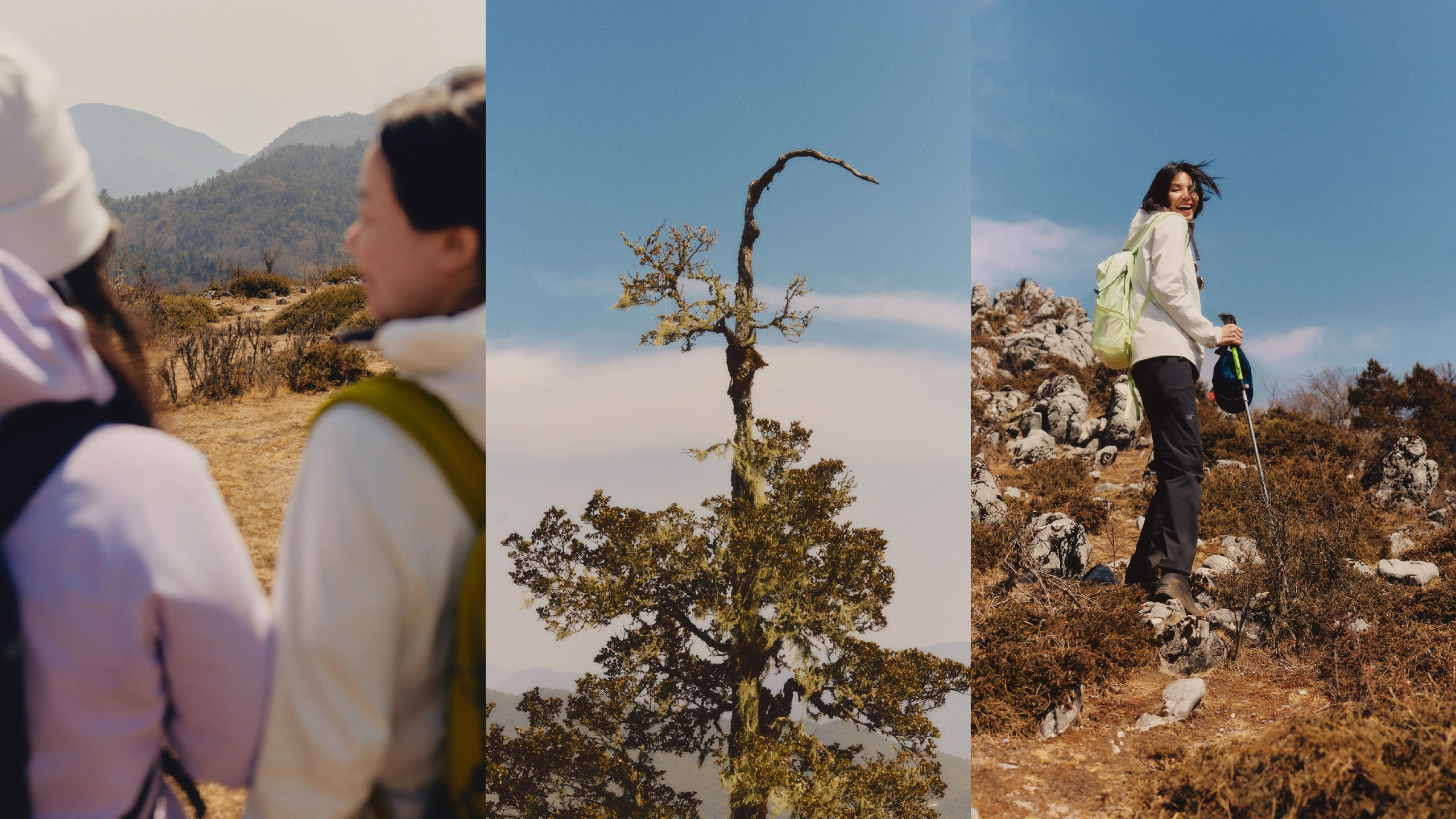 陈心老师的阅读理解36计简直是语文提分宝藏！-书籍-学习资料-电子书夸克网盘资源分享