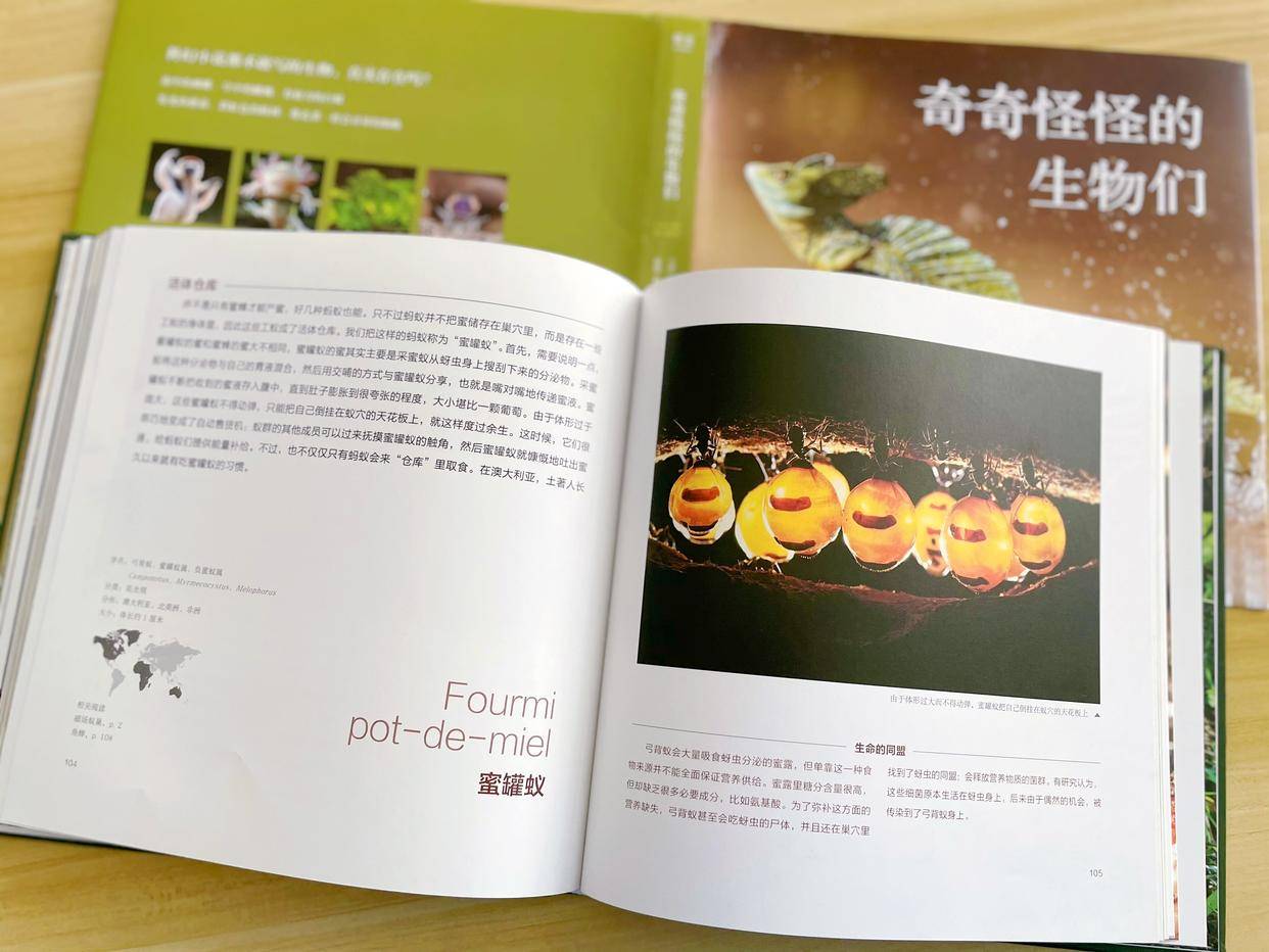 奇奇怪怪的生物们-书籍-学习资料-电子书夸克网盘资源分享