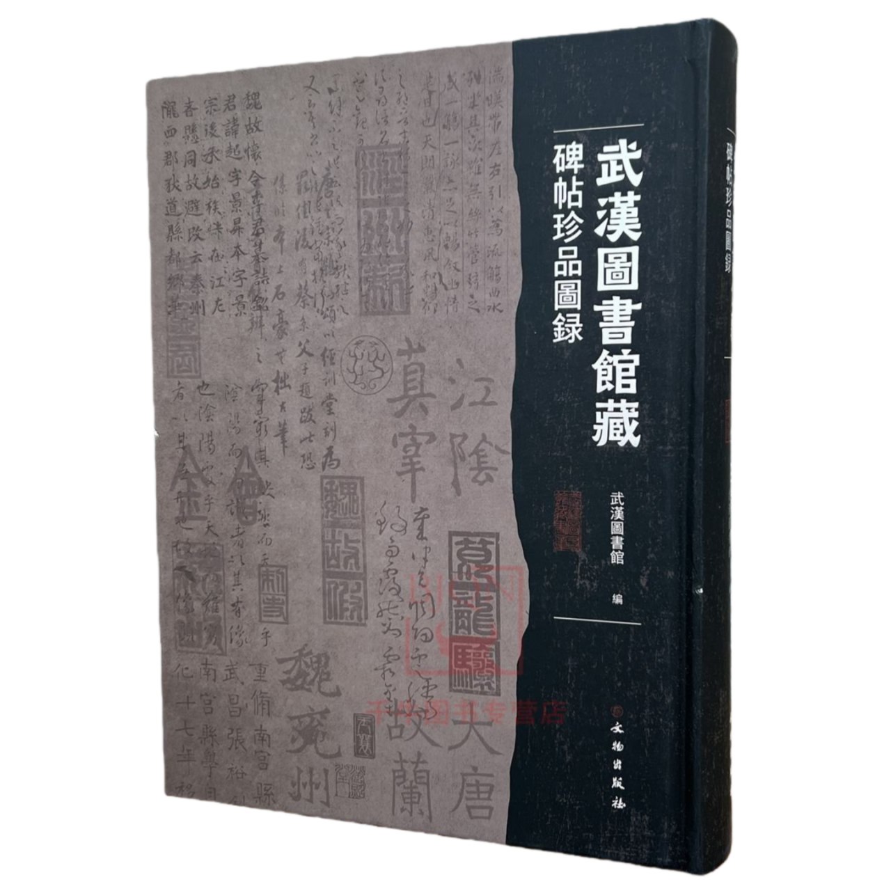 一生要读知的100本中国名书-书籍-学习资料-电子书夸克网盘资源分享