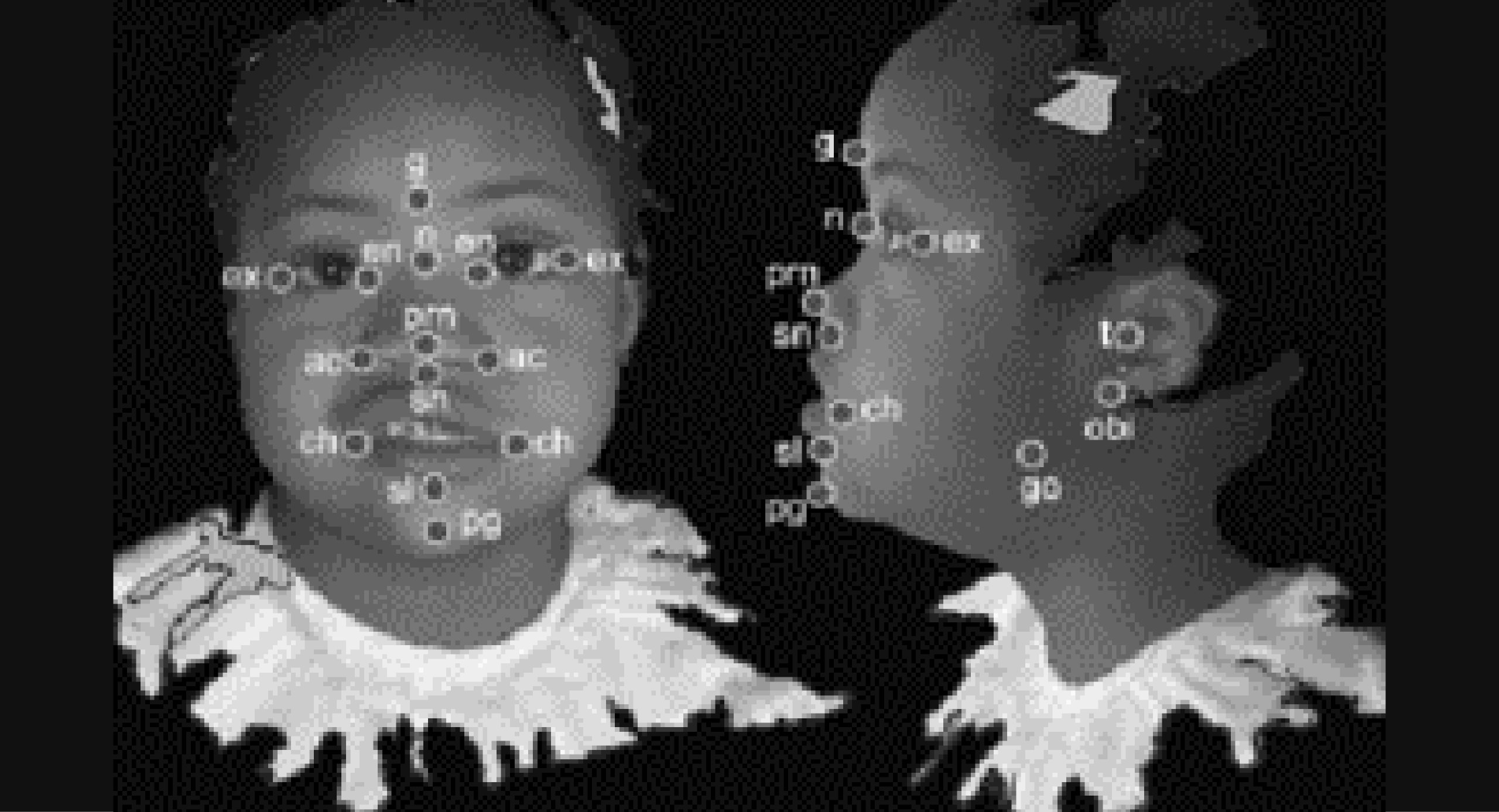 黑白决策-书籍-学习资料-电子书夸克网盘资源分享