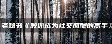 教你成为社交应酬的高手-书籍-学习资料-电子书夸克网盘资源分享