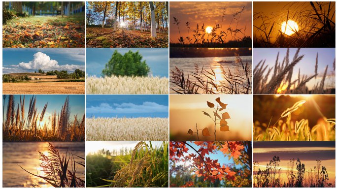 《治愈系风景视频素材合集 》-书籍-学习资料-电子书夸克网盘资源分享