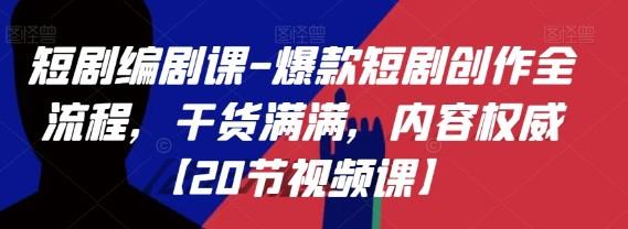 《爆款短剧编剧创作全流程视频课 》-书籍-学习资料-电子书夸克网盘资源分享
