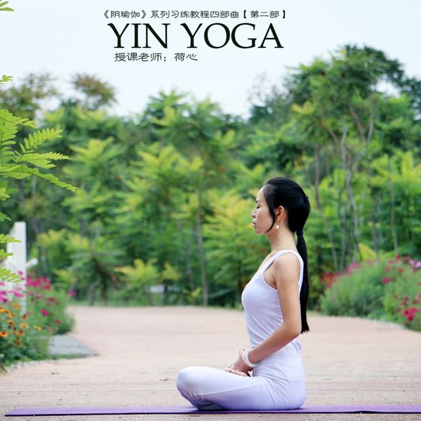 《阴瑜伽系列习练教程四部曲 》-书籍-学习资料-电子书夸克网盘资源分享
