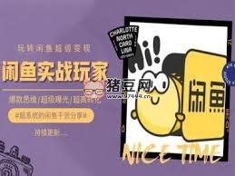 《手把手教你0到1系统玩转闲鱼变现 》-书籍-学习资料-电子书夸克网盘资源分享