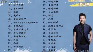 《沙宝亮歌曲合集 》-书籍-学习资料-电子书夸克网盘资源分享