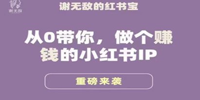 《小红书运营大宝典，从0带你做个赚钱的小红书IP 》-书籍-学习资料-电子书夸克网盘资源分享