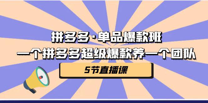 《一个拼多多超级爆款养一个团队 》-书籍-学习资料-电子书夸克网盘资源分享