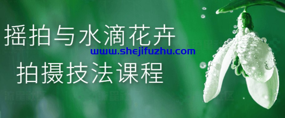 《摇拍与水滴花卉拍摄技法课程 》-书籍-学习资料-电子书夸克网盘资源分享