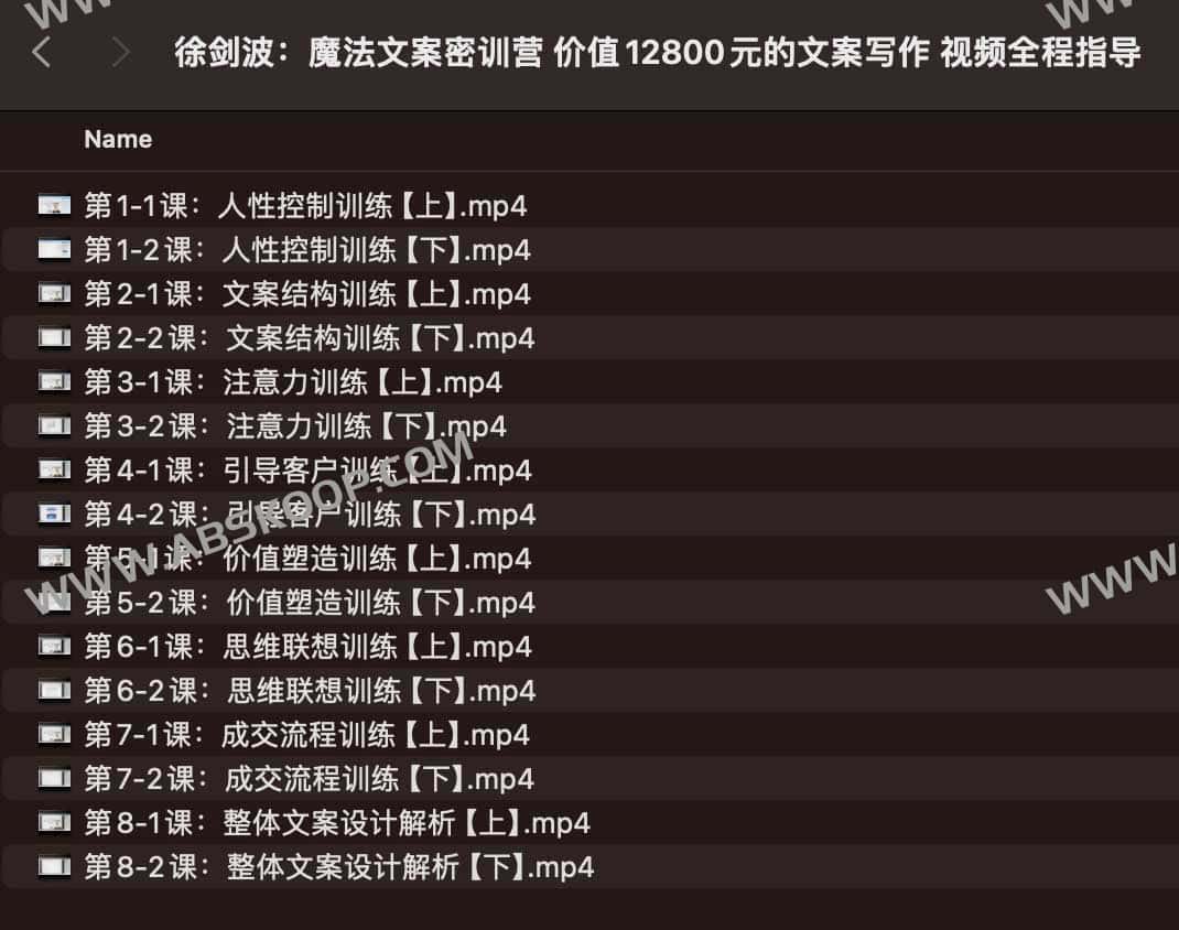 《徐剑波：魔法文案密训营 价值12800元的文案写作 视频全程指导 》-书籍-学习资料-电子书夸克网盘资源分享