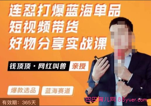 《网红叫兽-连怼打爆蓝海单品短视频带货好物分享实战课 》-书籍-学习资料-电子书夸克网盘资源分享