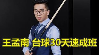 《王孟南台球30天速成班 》-书籍-学习资料-电子书夸克网盘资源分享
