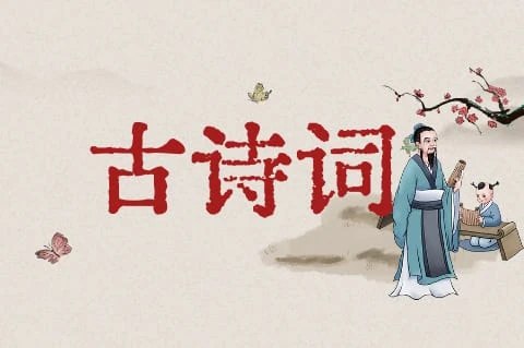 《文言文古诗词类教辅汇总 》-书籍-学习资料-电子书夸克网盘资源分享