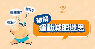 许岑·为什么不运动就可以减肥-书籍-学习资料-电子书夸克网盘资源分享