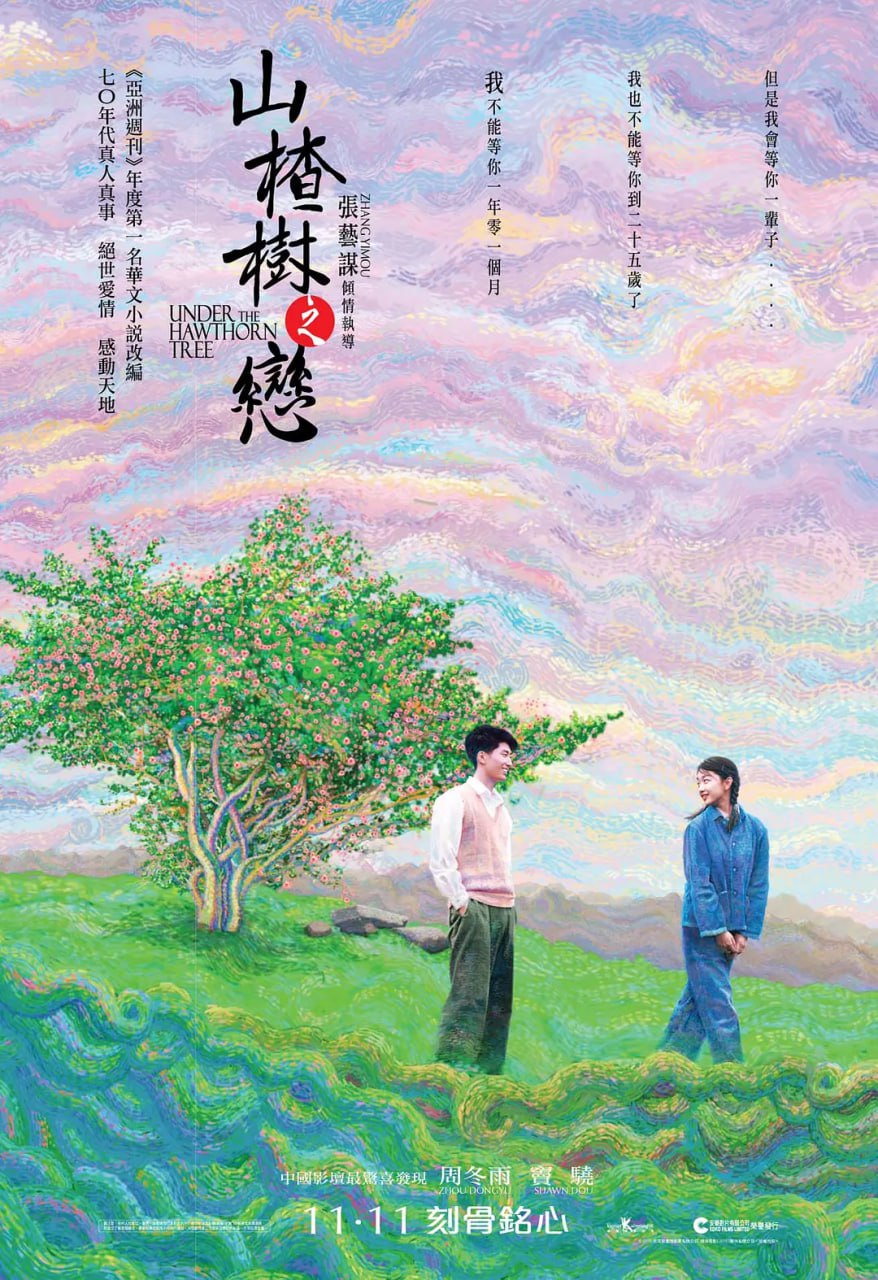 山楂树之恋 (2010)-书籍-学习资料-电子书夸克网盘资源分享