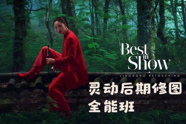 刘杨修图体系全面后期综合课程-书籍-学习资料-电子书夸克网盘资源分享