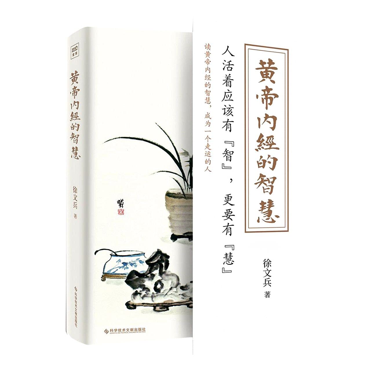 徐文兵黄帝内经智慧-书籍-学习资料-电子书夸克网盘资源分享
