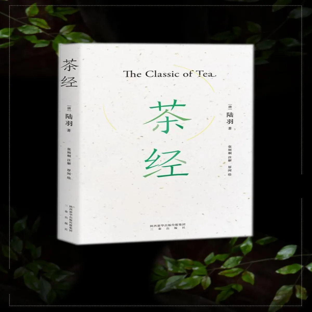 茶人必备文化常识  350集 兆阳播音-书籍-学习资料-电子书夸克网盘资源分享