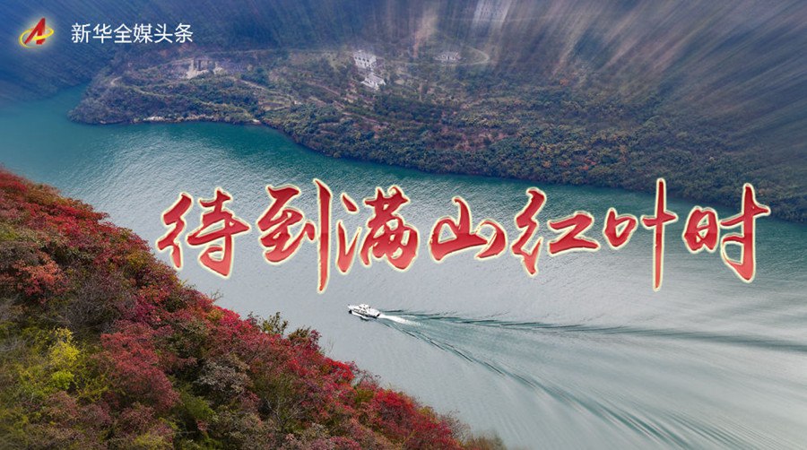 等到满山红叶时-书籍-学习资料-电子书夸克网盘资源分享