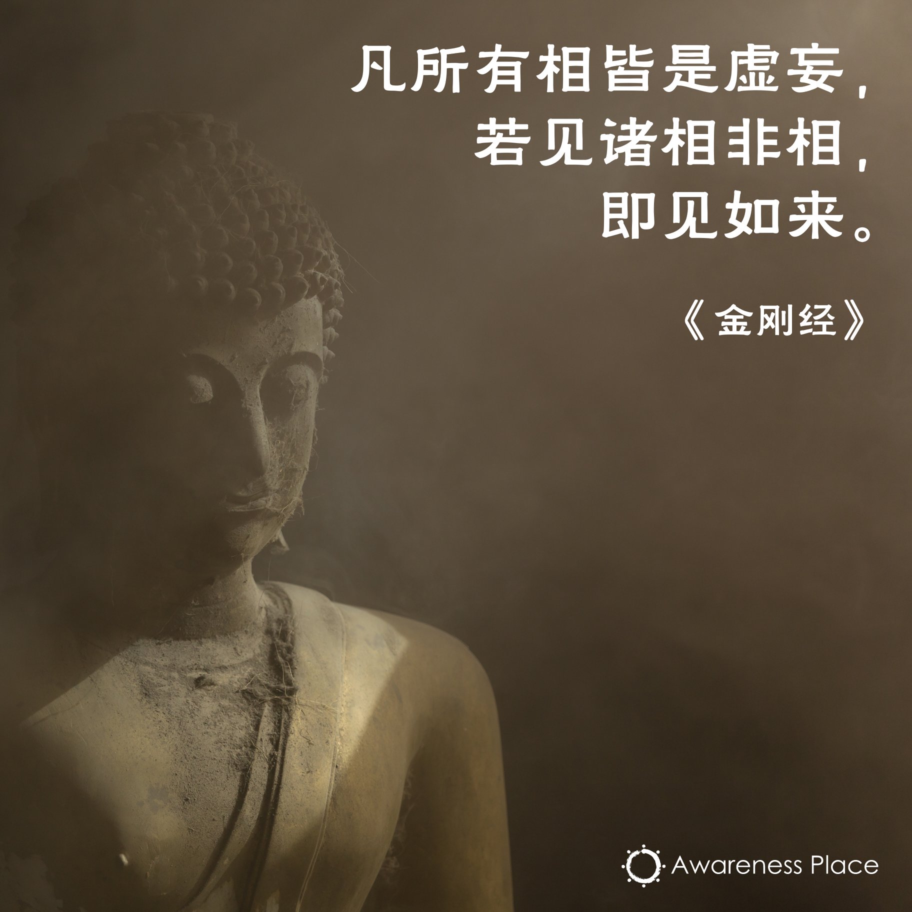 图说金刚经  凡所有相 皆是虚妄 若见诸相非相 即见如来[pdf]-书籍-学习资料-电子书夸克网盘资源分享