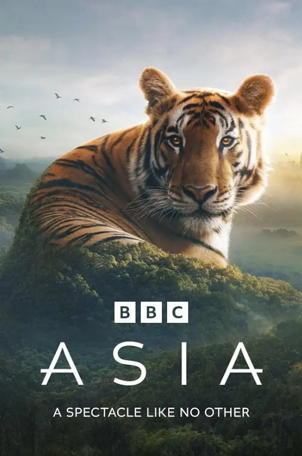 BBC纪录片-书籍-学习资料-电子书夸克网盘资源分享