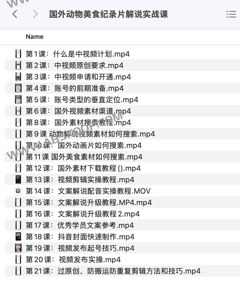 国外动物美食纪录片解说实战课-书籍-学习资料-电子书夸克网盘资源分享
