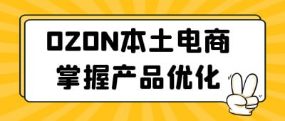 OZON本土电商掌握产品优化-书籍-学习资料-电子书夸克网盘资源分享