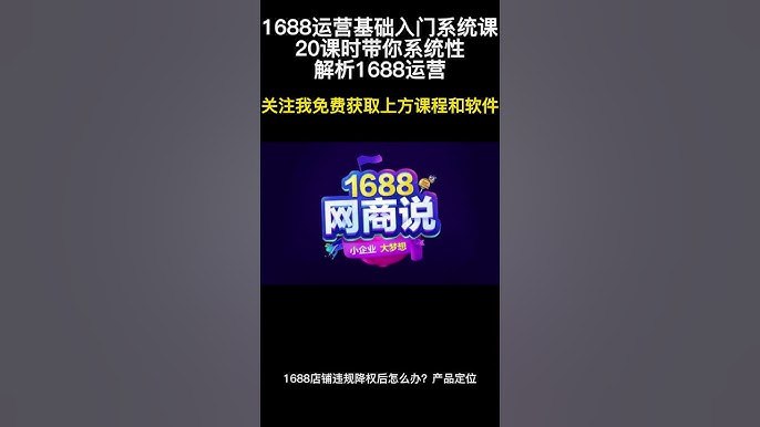 20课时带你系统性解析1688运营-书籍-学习资料-电子书夸克网盘资源分享