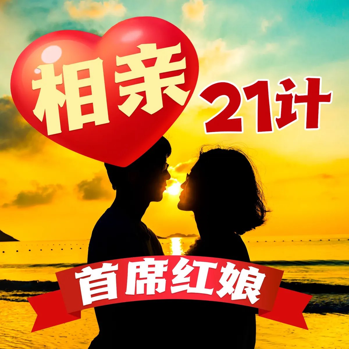 首席红娘教你相亲21计-书籍-学习资料-电子书夸克网盘资源分享