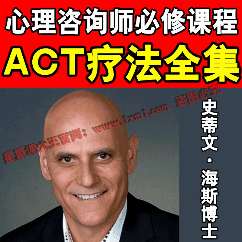 ACT疗法实录与访谈创始人-书籍-学习资料-电子书夸克网盘资源分享
