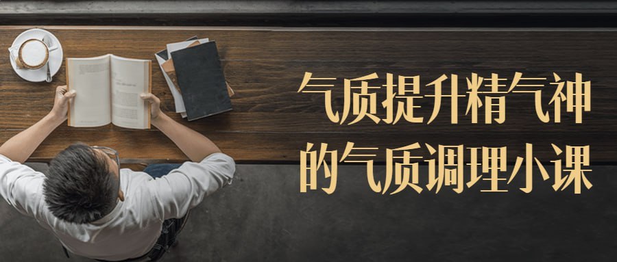 气质提升精气神的气质调理小课-书籍-学习资料-电子书夸克网盘资源分享
