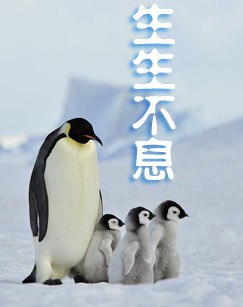 生生不息-书籍-学习资料-电子书夸克网盘资源分享