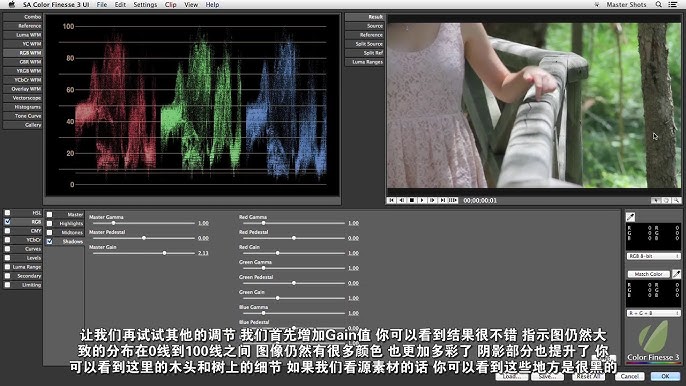 AE调色大师班 (中文字幕)-书籍-学习资料-电子书夸克网盘资源分享