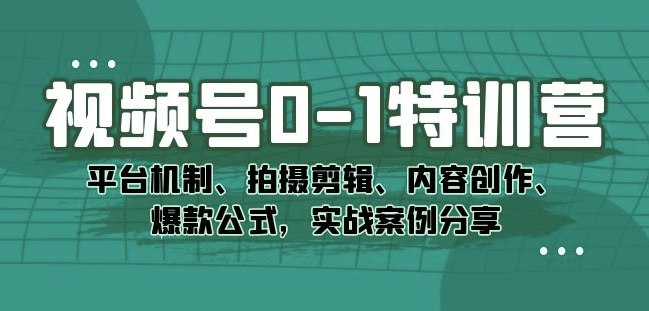 视频号0-1特训营：平台机制、拍摄剪辑、内容创作、爆款公式，实战案例分享-书籍-学习资料-电子书夸克网盘资源分享