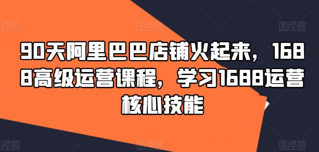 1688高级运营课 学习核心技能-书籍-学习资料-电子书夸克网盘资源分享
