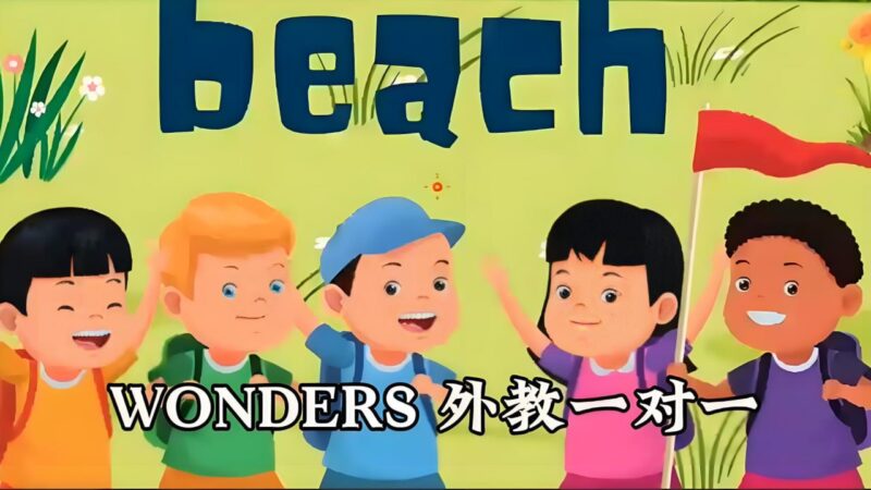 Wonders英语外教精讲课 (GK-G3)-书籍-学习资料-电子书夸克网盘资源分享