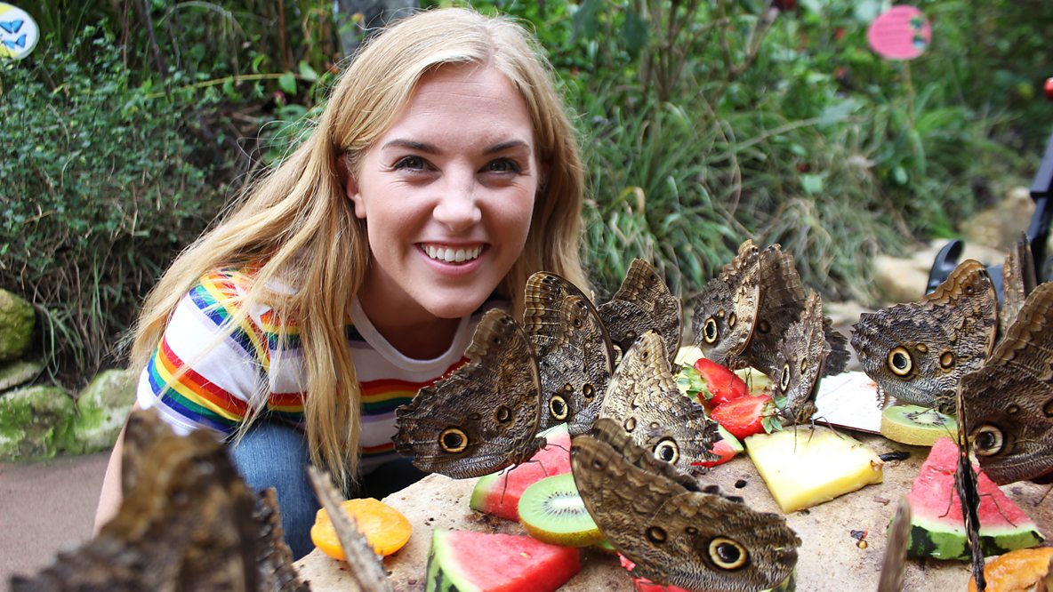 BBC少儿真人科普剧 Maddie&  #39;s Do You Know 你知道吗？-书籍-学习资料-电子书夸克网盘资源分享