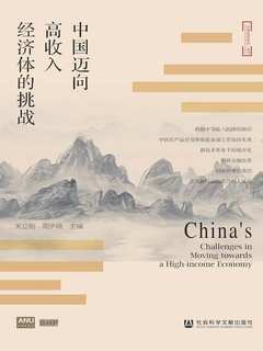 中国迈向高收入经济体的挑战-书籍-学习资料-电子书夸克网盘资源分享