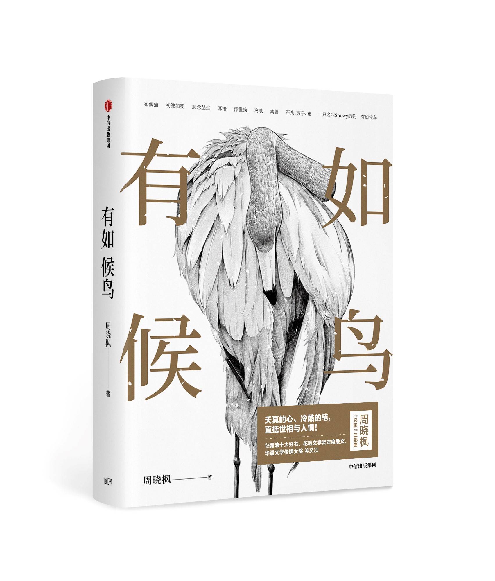 有如候鸟（“它们”三部曲）-书籍-学习资料-电子书夸克网盘资源分享