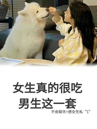 撩妹追女神顶级教学  视频版 早看早脱单 教程贴合实际 抱得美人归[mp4]-书籍-学习资料-电子书夸克网盘资源分享