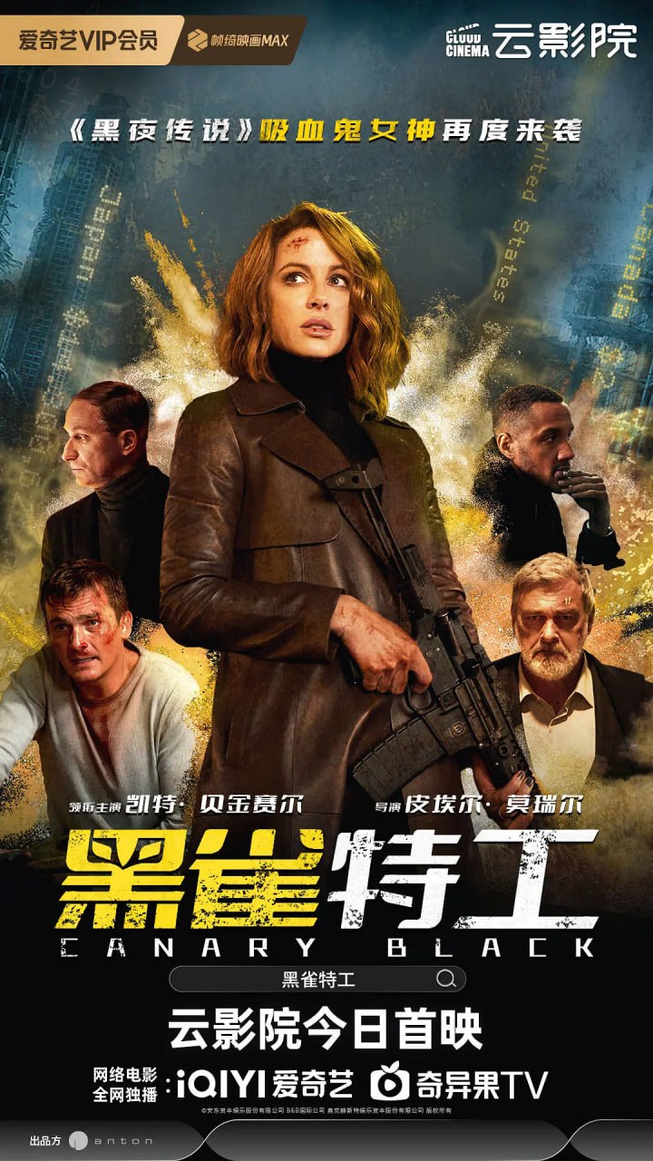 黑雀特工 Canary Black (2024)-书籍-学习资料-电子书夸克网盘资源分享