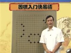 围棋入门快易精-王元围棋视频讲座-书籍-学习资料-电子书夸克网盘资源分享