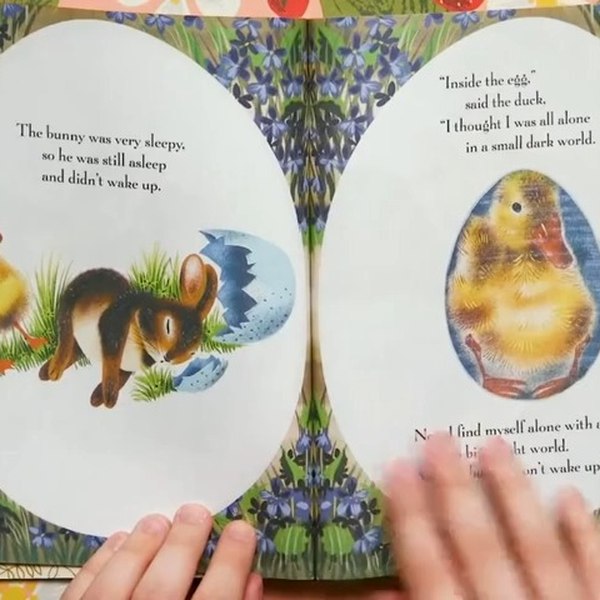 精选英美原版绘本视频合集-书籍-学习资料-电子书夸克网盘资源分享