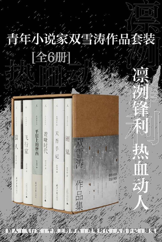 《青年小说家双雪涛作品套装（全6册）》-书籍-学习资料-电子书夸克网盘资源分享