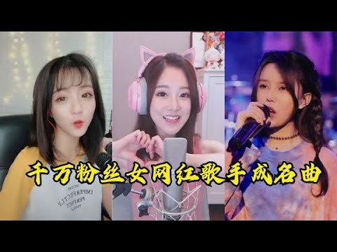 《网红歌手成名曲合集》-书籍-学习资料-电子书夸克网盘资源分享