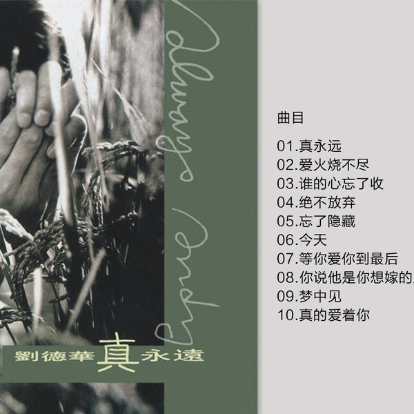 《刘德华 - 真永远 - 1995 Flac》-书籍-学习资料-电子书夸克网盘资源分享