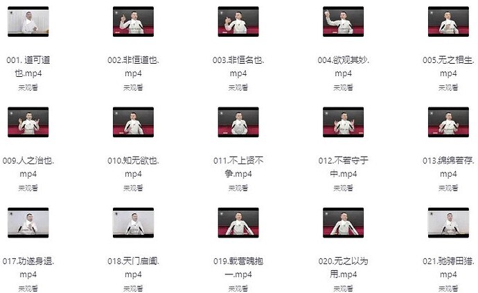 《道德经 虚空济 95 讲》-书籍-学习资料-电子书夸克网盘资源分享