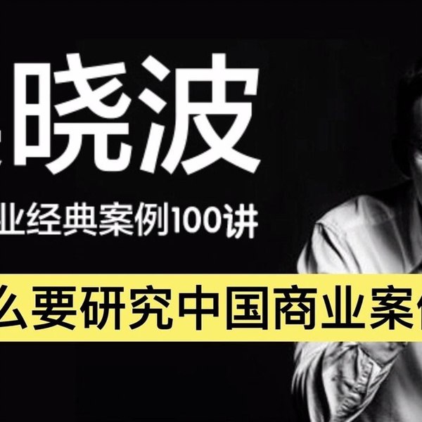 《吴晓波：中国商业经典案例 100 讲》-书籍-学习资料-电子书夸克网盘资源分享