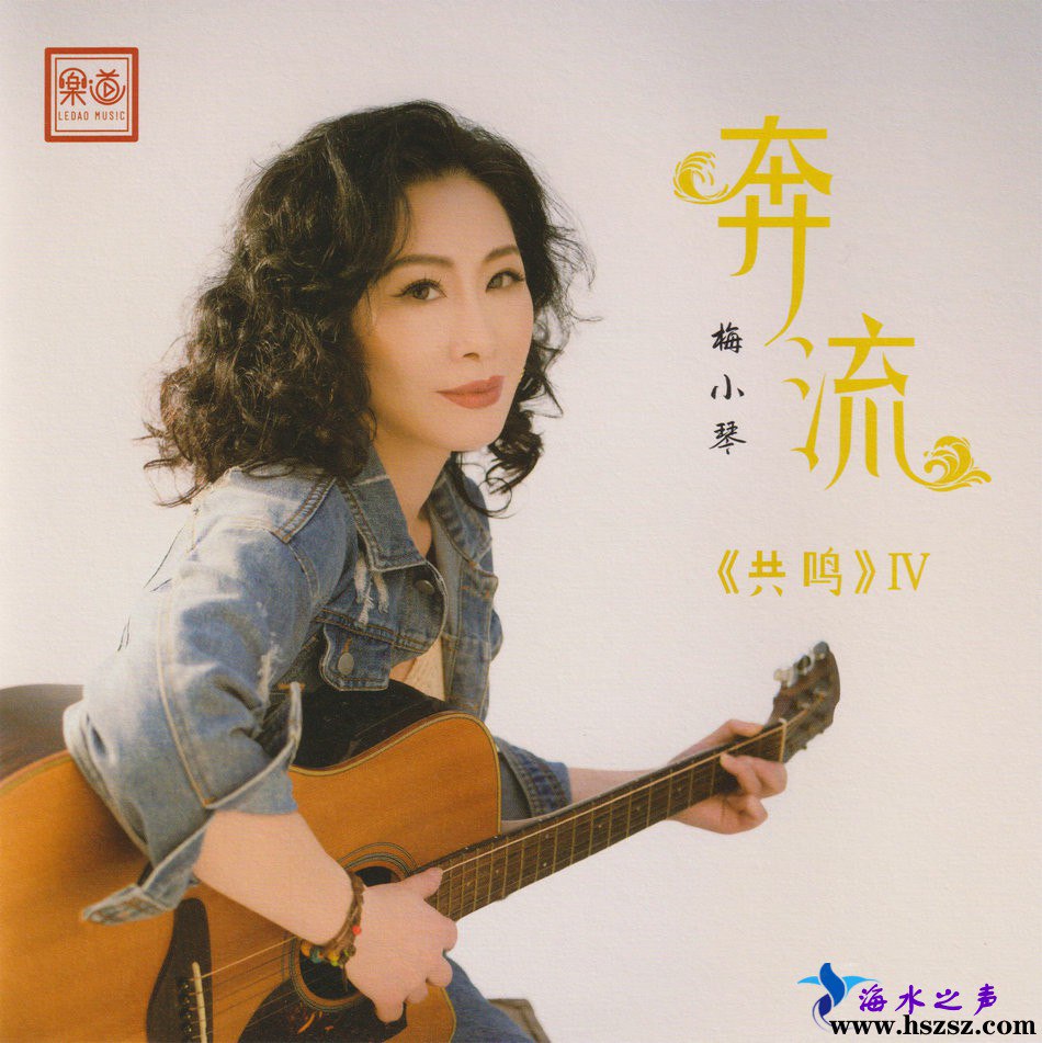 《梅小琴.2024 - 奔流头版限量编号 24K 黄金母盘[WAV + CUE]》-书籍-学习资料-电子书夸克网盘资源分享