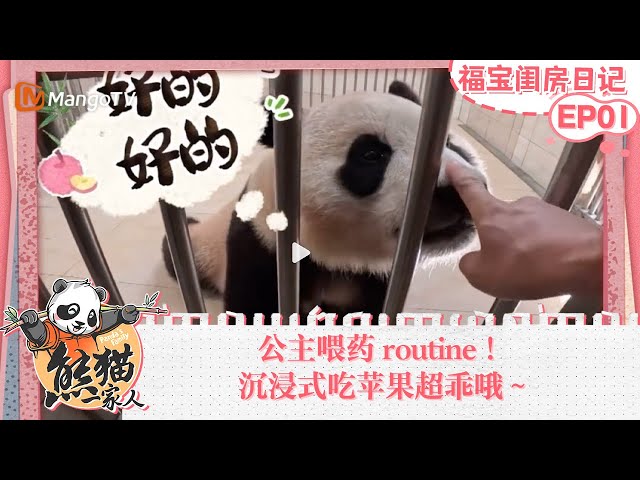 《寒门巨子主播：熊猫青云 1681 集完》-书籍-学习资料-电子书夸克网盘资源分享